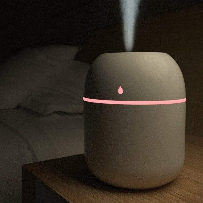 Mini (22O ml) Aromatherapy Portable Diffuser
