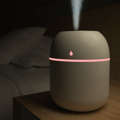 Mini (22O ml) Aromatherapy Portable Diffuser